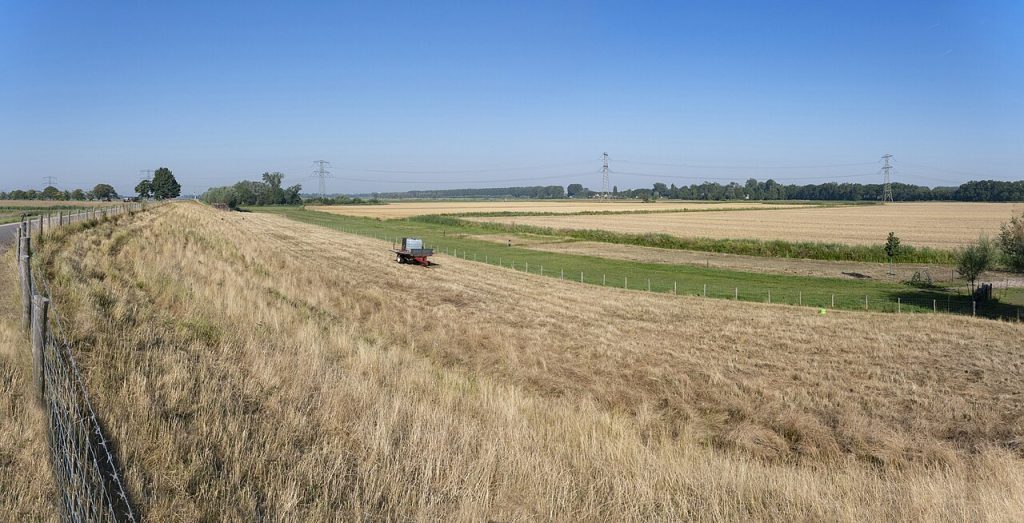 Dagje Dordtse Biesbosch