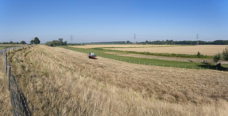 Dagje Dordtse Biesbosch — Attracties in Dordrecht