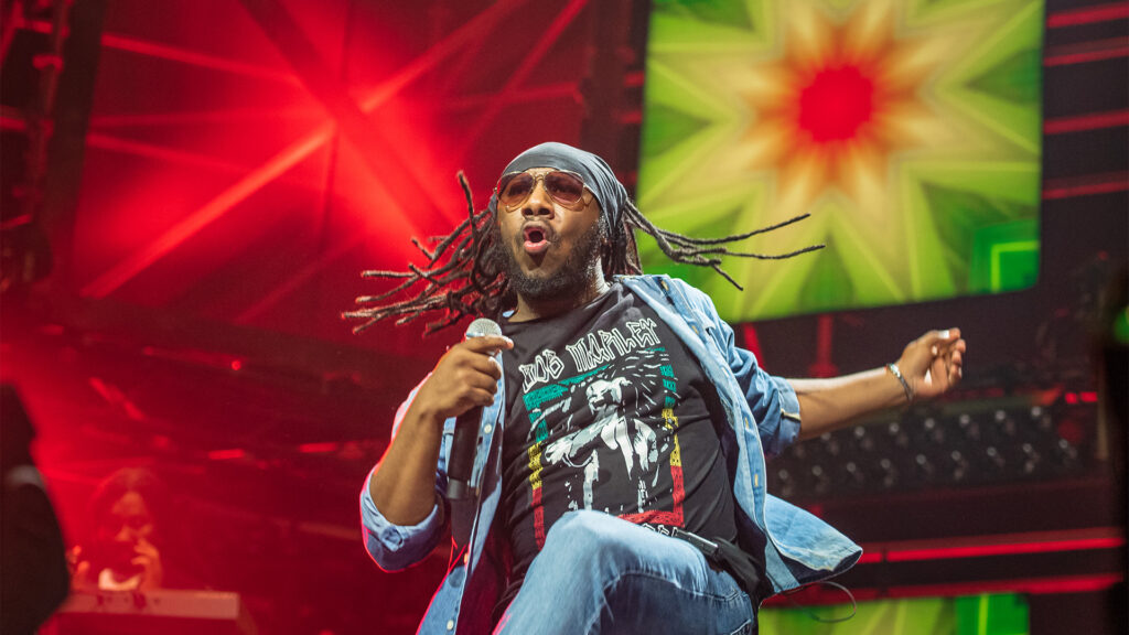 Bob Marley Tribute by Rootsriders: Exodus50 in Dordrecht