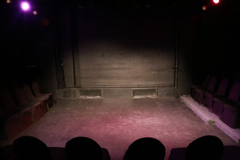 The Dog Stars — theater in Dordrecht