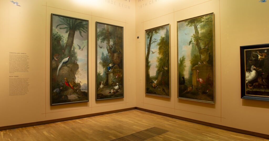 Vorstelijke vogels in Dordrecht